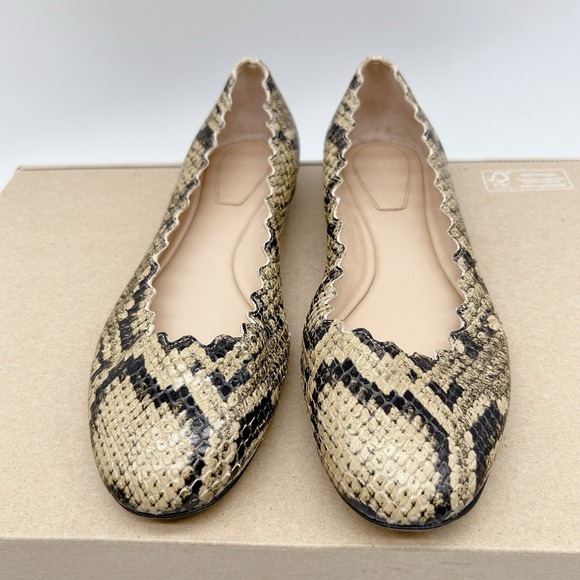 Chloe Lauren Scalloped Ballet Shoes Flats Dark Greige Snakeskin Leather US 35.5